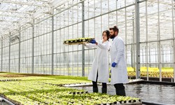 Top 5 Factors to Consider When Choosing an Agriculture College in Gwalior