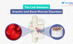 The Link Between Anemia and Bone Marrow Disorders