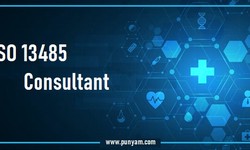Is Hiring a Consultant to Apply the ISO 13485 Standard can Truly Beneficial?