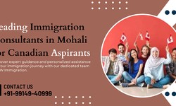 Embark on Your Canadian Journey with CW Immigration Consultants in Mohali