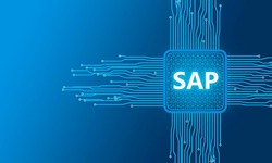 Why Opt for a SAP Business One Consultant?