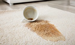 How to Clean Carpet and Get Rid of Stains