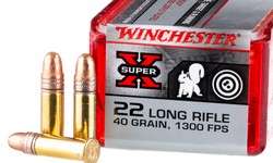 Where to Get .22 Ammo: Exploring Your Options