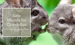 Exploring the Best Safe Woods for Chinchillas: A Comprehensive Guide