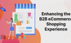 Enhancing the B2B eCommerce Shopping Experience