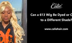 Can a 613 Wig Be Dyed or Colored to a Different Shade?