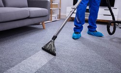 Professional carpet cleaning in Keysborough