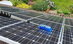 How To Protect Solar Panels From Birds?