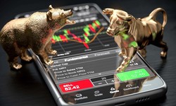 Bear or Bull? Deciphering Market Trends