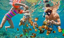 The Best Places to Snorkel in Hawaii