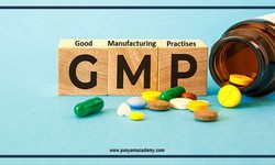 Why is it Important for the Pharmaceutical Industry to Follow Good Manufacturing Practices (GMPS)?