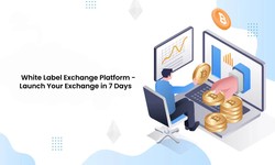 White Label Exchange Platform - Launch Your Exchange in 7 Days