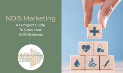 NDIS Business Potential: The Impact of Targeted Marketing Strategies
