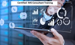 How IMS Consultants Streamline Success and Improve Business Performance