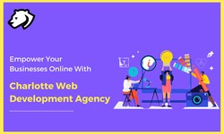 Empower Your Businesses Online With Charlotte Web Development Agency