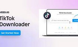 Elevate Your TikTok Journey with Veed.io's Game-Changing Downloader