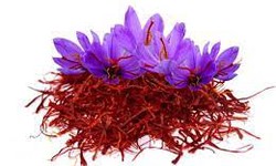 The Enchanting Journey of Kashmiri Saffron: A Tale of Innovation and Tradition