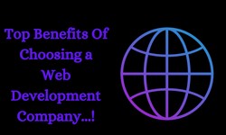 Top Benefits Of Choosing an Web Development Company...!