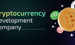 Catalysts of Change: Exploring the Work of a Cryptocurrency Development Company