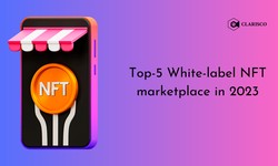 Top 5 White-Label NFT Marketplace Development Companies in 2023