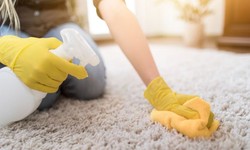 Carpet Transition Repair: Seamless Integration with Other Flooring