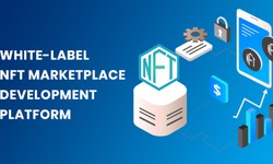 From Vision to Reality: White Label NFT Marketplace Development Explored