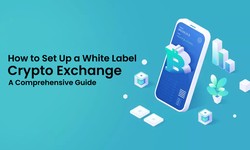 How to Set Up a White Label Crypto Exchange: A Comprehensive Guide