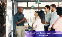What are some reputable professional WordPress development companies in Bothell