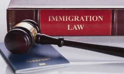 Navigating Immigration Law: Your Guide to the Best Lawyers in Australia