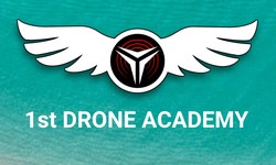 Embark on a Skyward Journey: Choosing the Right Online Drone Training