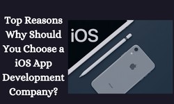 Top Reasons Why Should You Choose a iOS App Development Company?