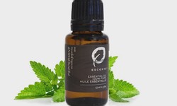 Peppermint Elixir and Ultrasonic Diffusers: Elevate Your Space
