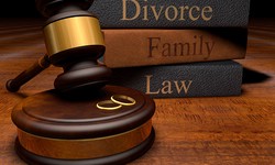 How a Family Law Attorney Helps in Your Family Disputes in New Jersey?