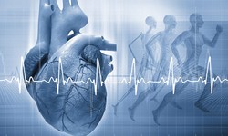 Unveiling Heart Health: Consulting a Leading Cardiologist in Melbourne