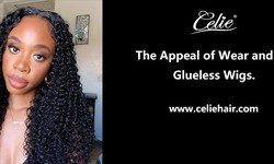 The Appeal of Wear and Go Glueless Wigs.
