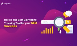 Here is The Best Daily Rank Tracking Tool for your SEO Success