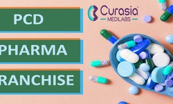 Top things you want to know about the PCD pharma franchise business
