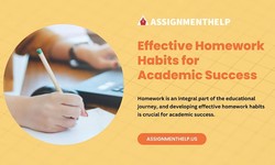 Effective Homework Habits for Academic Success