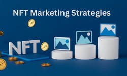 Beyond Hype: Effective NFT Marketing Strategies for Long-Term Success