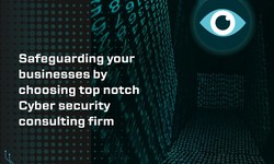Safeguarding your businesses by choosing top notch Cyber security consulting firm