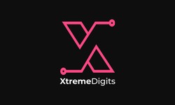 Web App Development Services | XtremeDigits