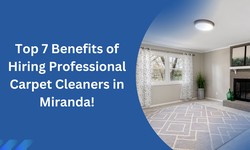 The Top 7 Benefits of Hiring Professional Carpet Cleaners in Miranda