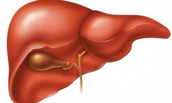 The Ultimate Guide to Self-Administered Liver Function Tests: Stay Healthy at Home