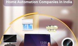 How To Choose the Best Home Automation Company in India?