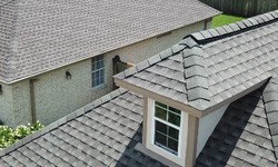 A Comprehensive Guide to Roofing Solutions in a Unique Environment