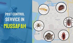 Effective Pest Control for Abu Dhabi and Mussafah Residents