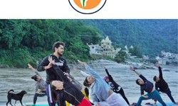 Embark on Your Yoga Journey: Yoga Teacher Training in Delhi