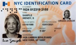 How to Get a Real ID in New York