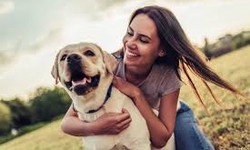 Caring for Our Furry Friends: A Comprehensive Guide