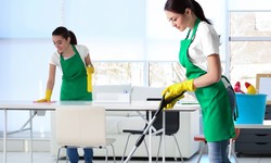 All You Need to Know About Carpet Cleaning in Bond Cleaning
